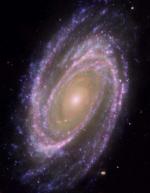  Галактика M81 
