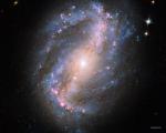 галактика  NGC 6217.